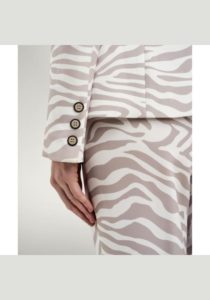 access-sakaki-zebra-6