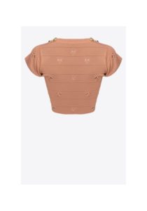 pinko-crop-top-102882A1LK-C95-4